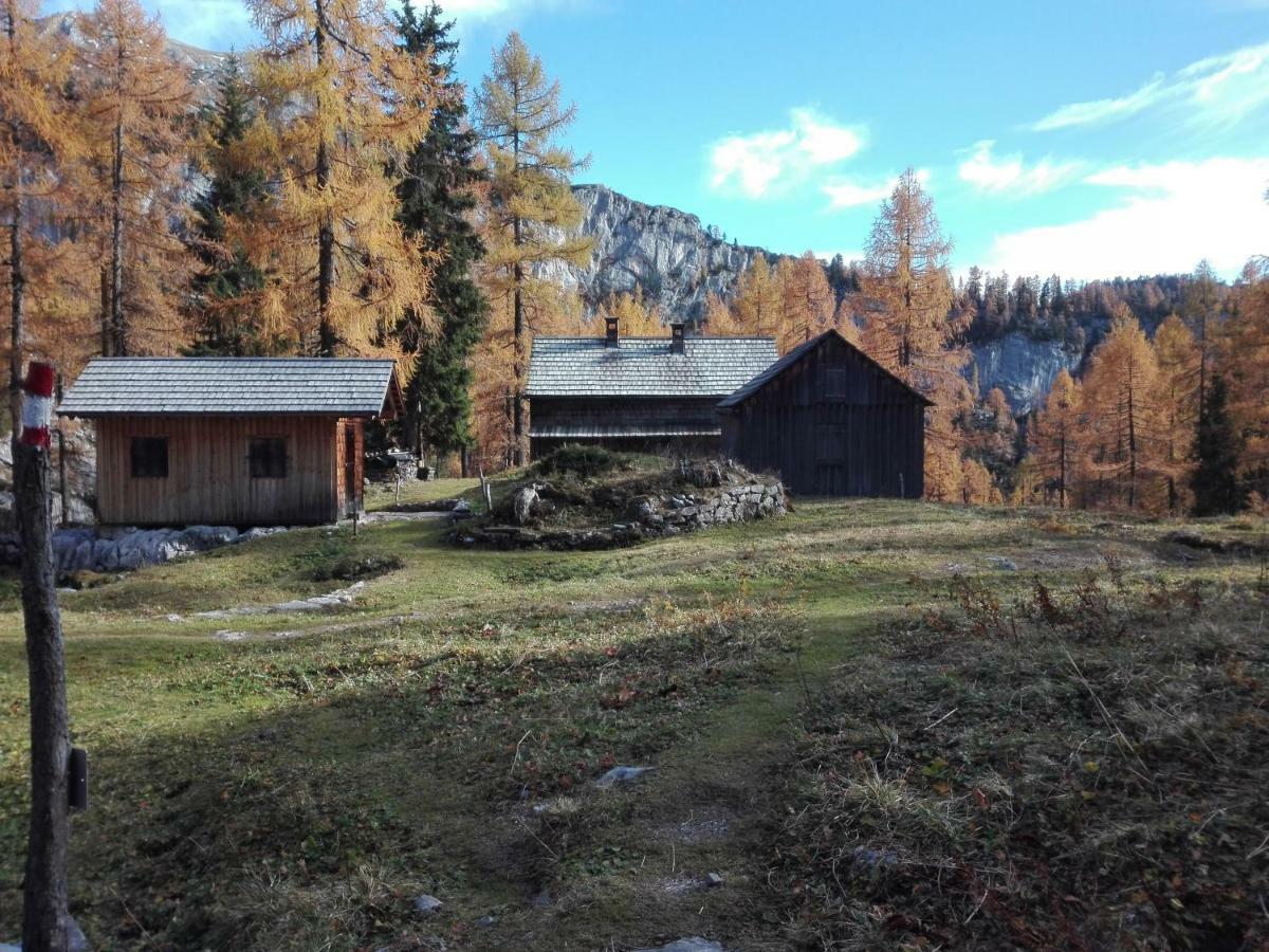Ferienwohnung Wohlfahrter Бад Митерндорф Екстериор снимка